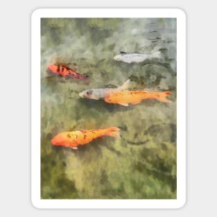 Fish - School Of Koi Sticker